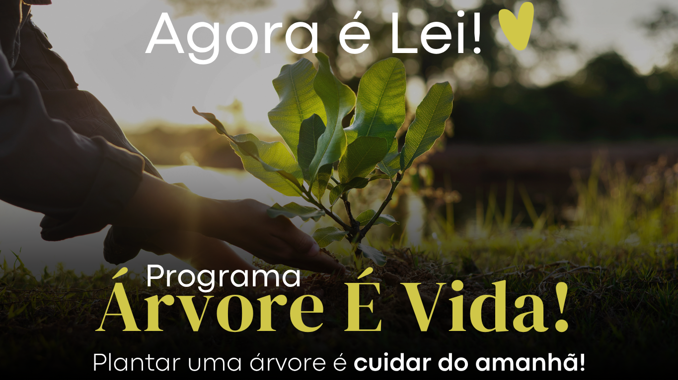 Agora é Lei! Passa-Quatro institui o Programa “Árvore é Vida” para promover a arborização urbana e o paisagismo por meio de parcerias