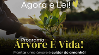 Agora é Lei! Passa-Quatro institui o Programa “Árvore é Vida” para promover a arborização urbana e o paisagismo por meio de parcerias
